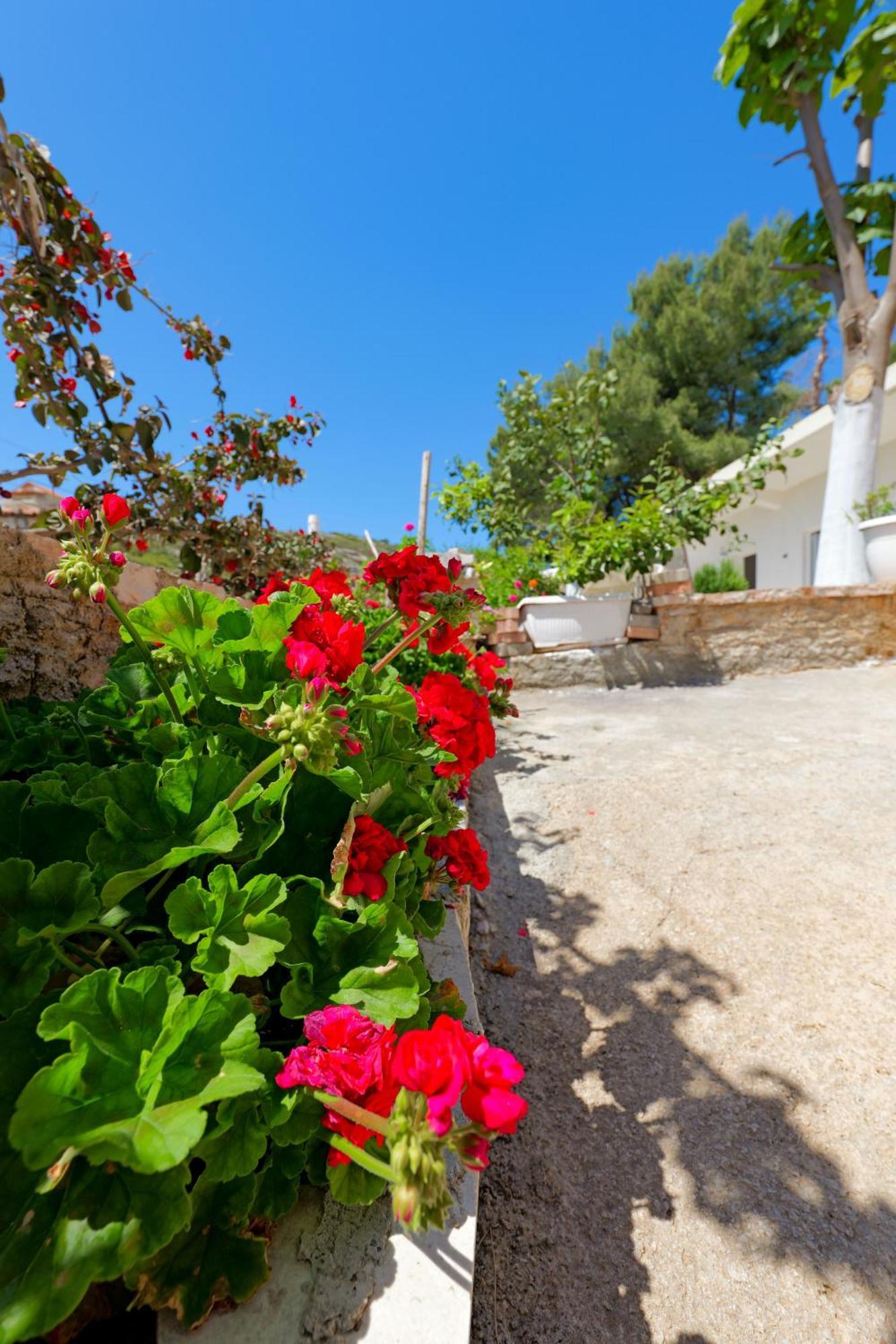 Flower Vila Saranda Extérieur photo