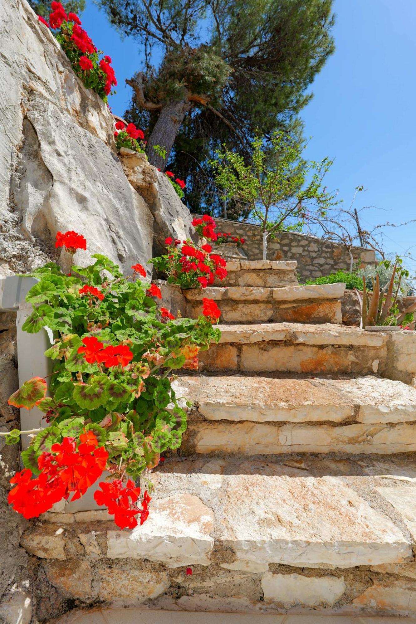 Flower Vila Saranda Extérieur photo